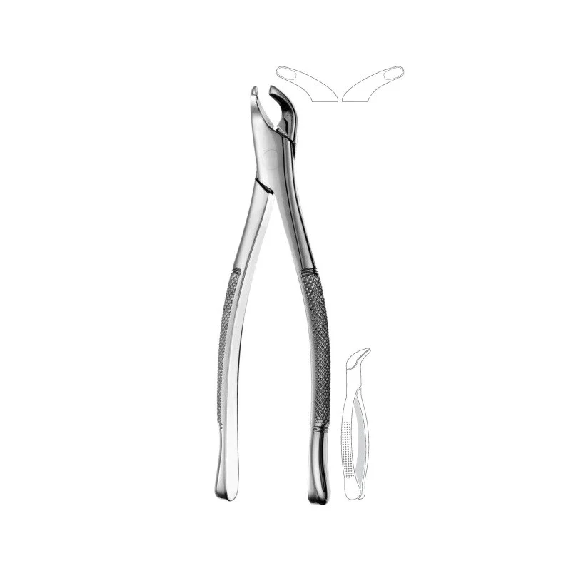 American Pattern Tooth Forceps Premolars