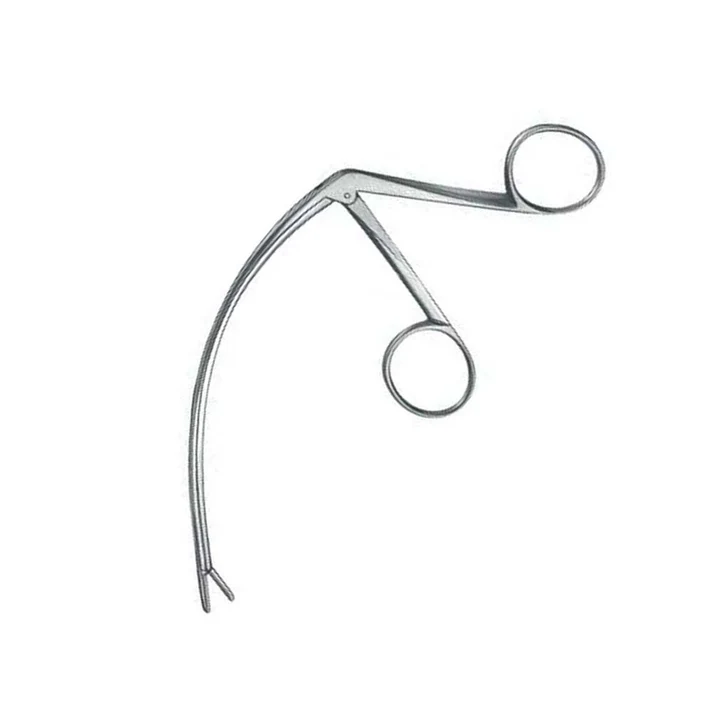 Carroll Tendon Retriever — image 2