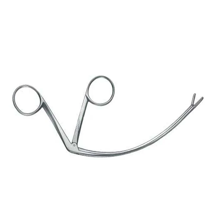 Carroll Tendon Retriever — image 3