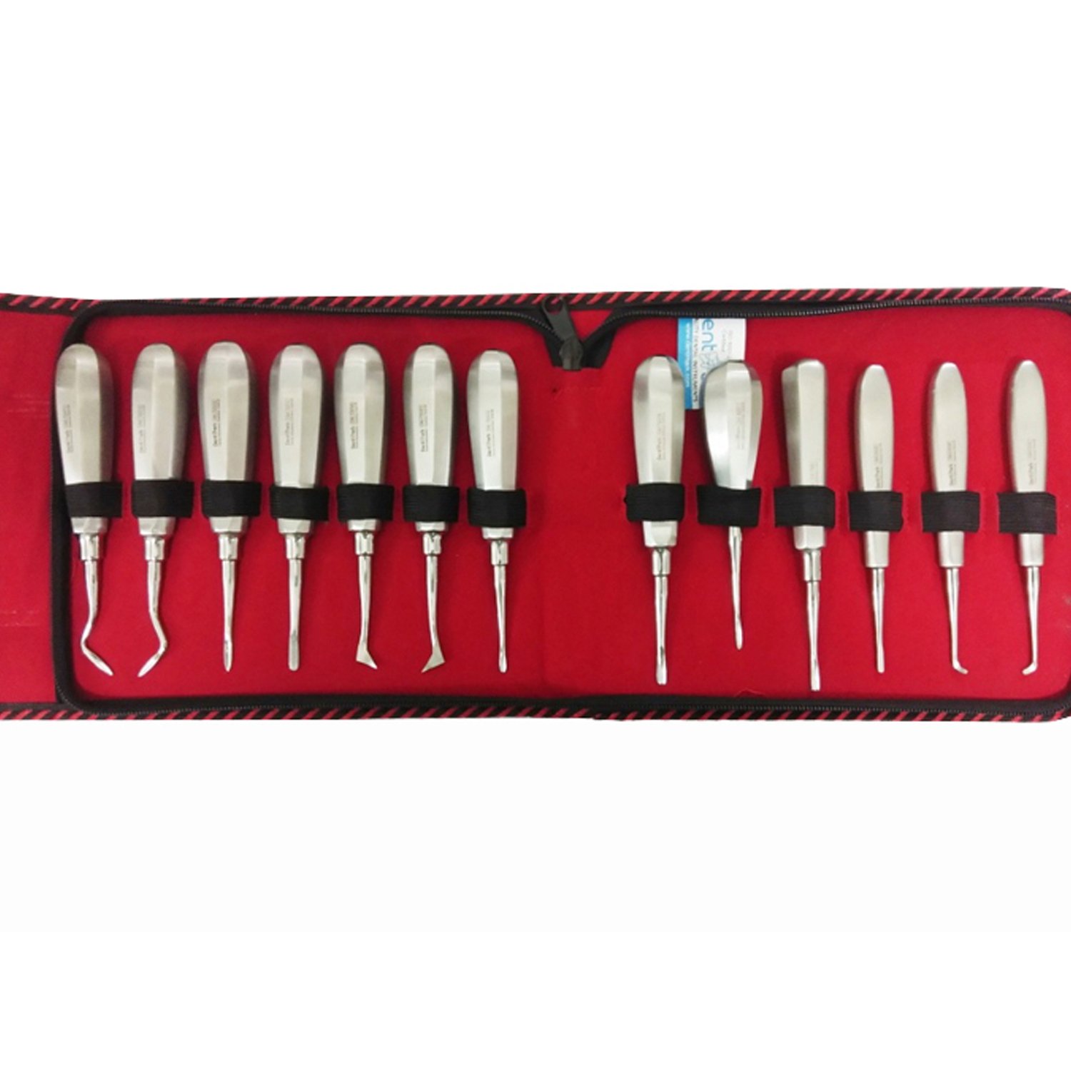 Dental Tooth Elevator Set