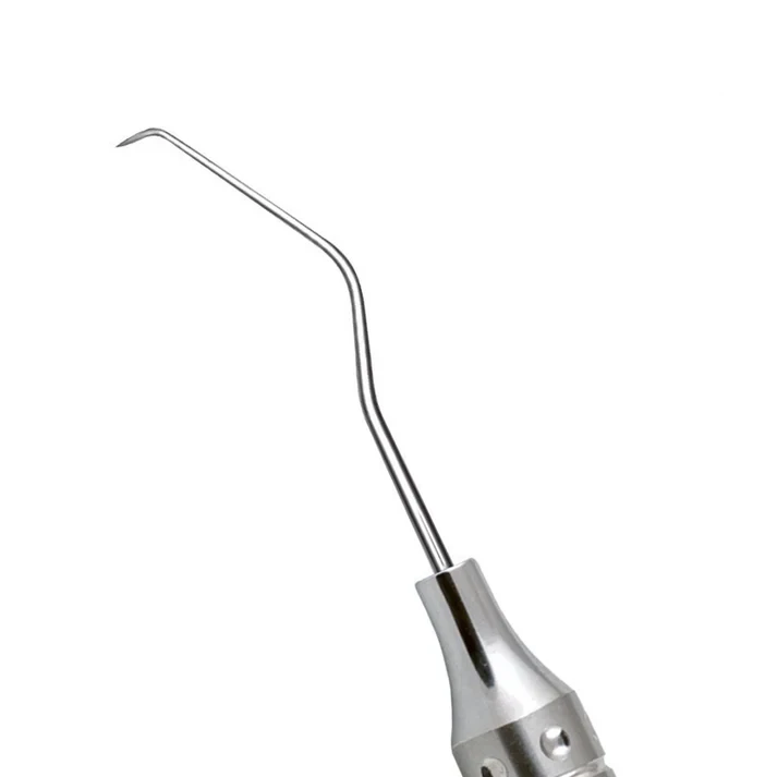 Dental Explorer — image 2