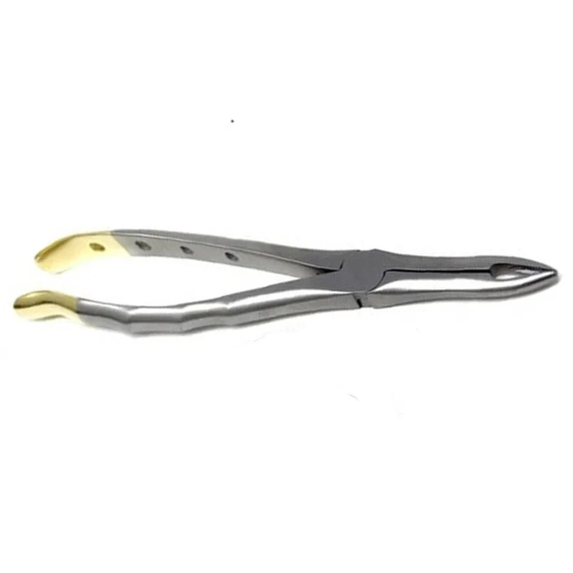Gold Handle Extracting Forceps - 2 — image 2