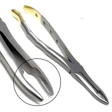 Gold Handle Extracting Forceps - 2 — image 3