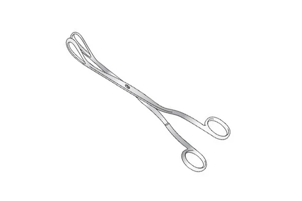 Greenhalgh Ovum Forceps 240mm
