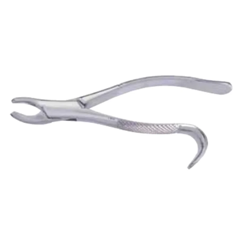 Stainless Steel Extracting Forceps — image 3