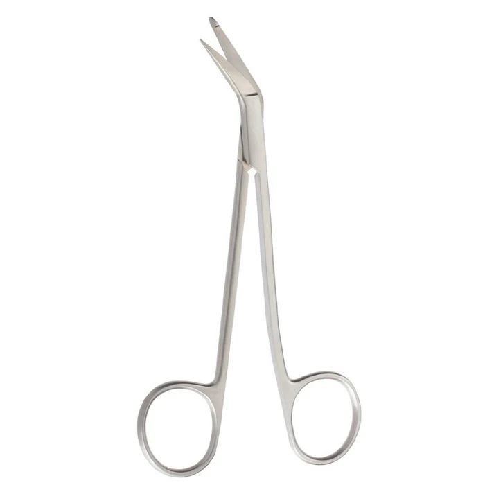 Taylor Brain Scissors — image 2