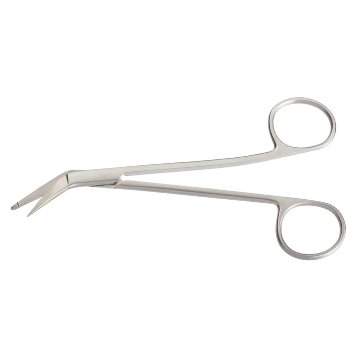 Taylor Brain Scissors — image 3