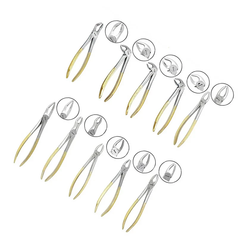 Tooth Extracting Forceps Set — image 2